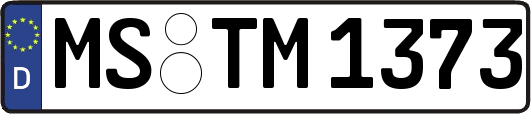 MS-TM1373