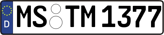 MS-TM1377