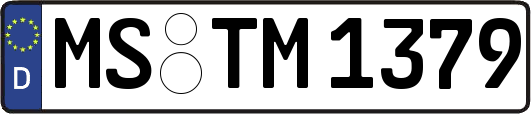 MS-TM1379