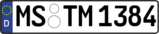 MS-TM1384