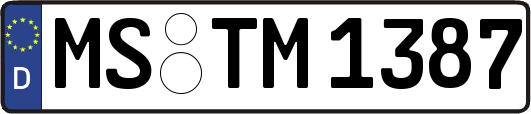 MS-TM1387