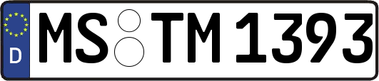 MS-TM1393