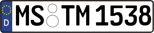 MS-TM1538