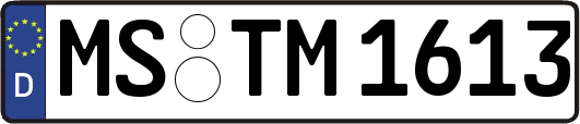 MS-TM1613