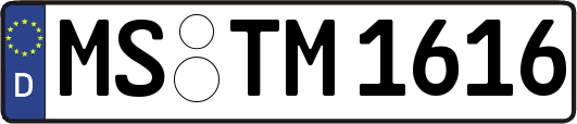 MS-TM1616
