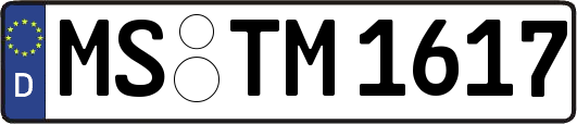 MS-TM1617