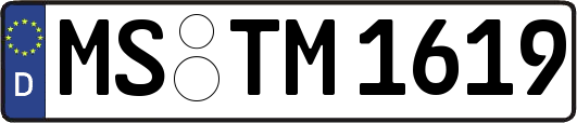 MS-TM1619