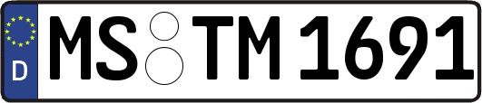 MS-TM1691