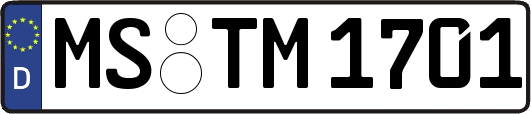 MS-TM1701