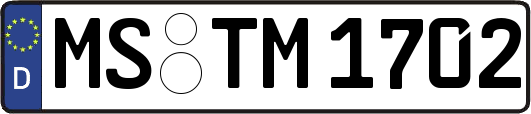 MS-TM1702