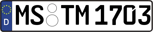MS-TM1703