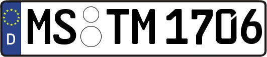 MS-TM1706