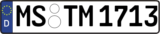 MS-TM1713