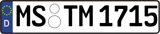 MS-TM1715