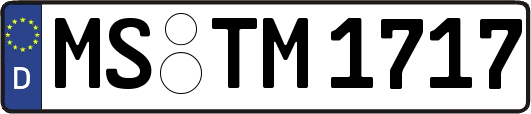 MS-TM1717