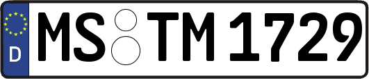 MS-TM1729