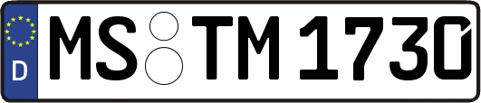 MS-TM1730
