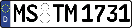 MS-TM1731