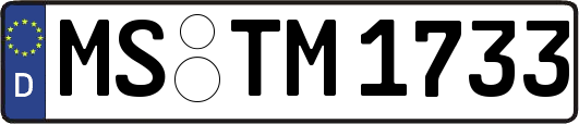MS-TM1733