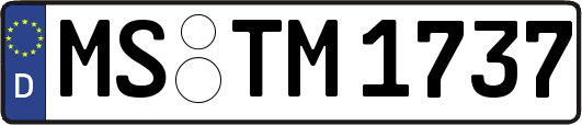 MS-TM1737