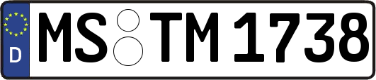 MS-TM1738