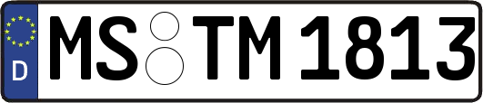 MS-TM1813