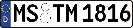 MS-TM1816