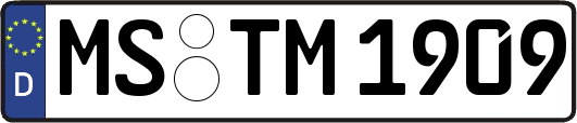 MS-TM1909