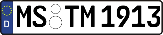 MS-TM1913