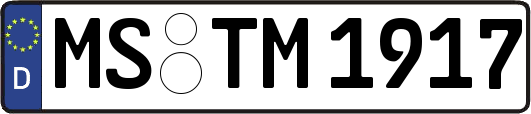 MS-TM1917