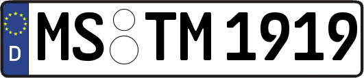 MS-TM1919