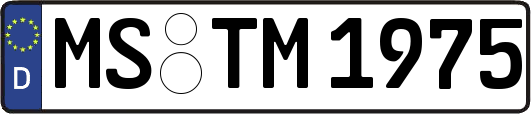 MS-TM1975
