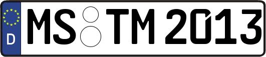 MS-TM2013