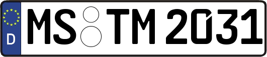 MS-TM2031
