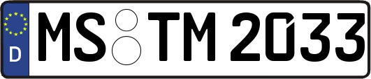 MS-TM2033