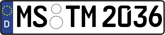 MS-TM2036