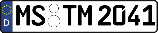 MS-TM2041
