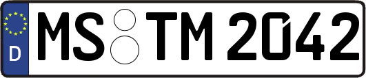 MS-TM2042