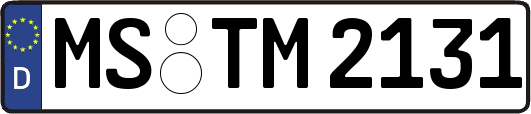 MS-TM2131