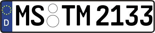 MS-TM2133