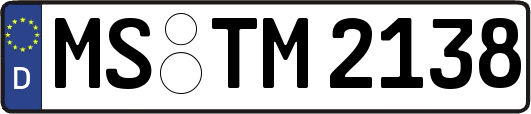 MS-TM2138