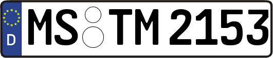 MS-TM2153