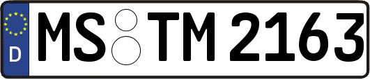 MS-TM2163