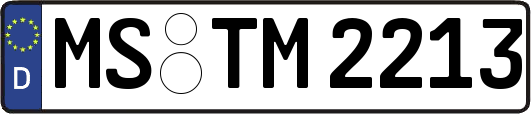 MS-TM2213