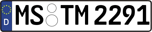 MS-TM2291