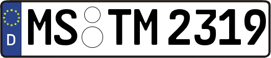 MS-TM2319