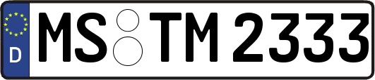 MS-TM2333