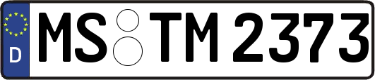 MS-TM2373