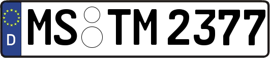 MS-TM2377