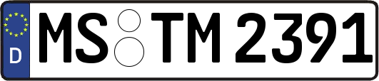 MS-TM2391